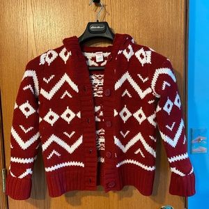 Kids Gymboree Knitted Sweater with Hood